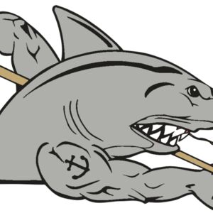 AR POOL 27 RC Thumbnail