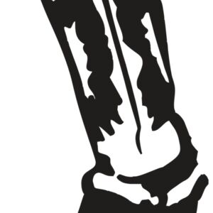 AR COWBOY 18 RC Thumbnail