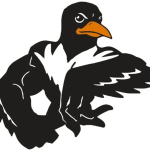 AR ORIOLE 22 RC Thumbnail