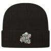 USA-Made 12" Cuffed Beanie Thumbnail