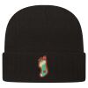 USA-Made 12" Cuffed Beanie Thumbnail