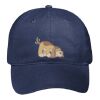 6 Panel Low Profile Baseball Cap Thumbnail