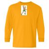 Heavy Cotton Youth Long Sleeve T-Shirt. Thumbnail