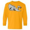 Heavy Cotton Youth Long Sleeve T-Shirt. Thumbnail