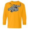 Heavy Cotton Youth Long Sleeve T-Shirt. Thumbnail