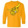 Heavy Cotton Youth Long Sleeve T-Shirt. Thumbnail
