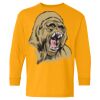 Heavy Cotton Youth Long Sleeve T-Shirt. Thumbnail