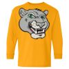 Heavy Cotton Youth Long Sleeve T-Shirt. Thumbnail