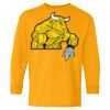 Heavy Cotton Youth Long Sleeve T-Shirt. Thumbnail