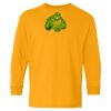 Heavy Cotton Youth Long Sleeve T-Shirt. Thumbnail