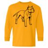 Heavy Cotton Youth Long Sleeve T-Shirt. Thumbnail