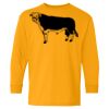 Heavy Cotton Youth Long Sleeve T-Shirt. Thumbnail