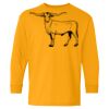 Heavy Cotton Youth Long Sleeve T-Shirt. Thumbnail