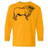 Heavy Cotton Youth Long Sleeve T-Shirt. Thumbnail