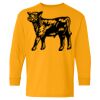 Heavy Cotton Youth Long Sleeve T-Shirt. Thumbnail