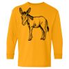 Heavy Cotton Youth Long Sleeve T-Shirt. Thumbnail