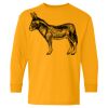 Heavy Cotton Youth Long Sleeve T-Shirt. Thumbnail