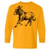 Heavy Cotton Youth Long Sleeve T-Shirt. Thumbnail