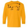 Heavy Cotton Youth Long Sleeve T-Shirt. Thumbnail