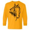 Heavy Cotton Youth Long Sleeve T-Shirt. Thumbnail