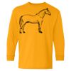 Heavy Cotton Youth Long Sleeve T-Shirt. Thumbnail