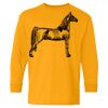 Heavy Cotton Youth Long Sleeve T-Shirt. Thumbnail