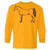 Heavy Cotton Youth Long Sleeve T-Shirt. Thumbnail