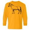 Heavy Cotton Youth Long Sleeve T-Shirt. Thumbnail
