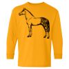 Heavy Cotton Youth Long Sleeve T-Shirt. Thumbnail