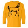 Heavy Cotton Youth Long Sleeve T-Shirt. Thumbnail