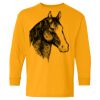 Heavy Cotton Youth Long Sleeve T-Shirt. Thumbnail