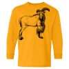 Heavy Cotton Youth Long Sleeve T-Shirt. Thumbnail