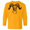 Heavy Cotton Youth Long Sleeve T-Shirt. Thumbnail