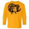 Heavy Cotton Youth Long Sleeve T-Shirt. Thumbnail