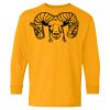 Heavy Cotton Youth Long Sleeve T-Shirt. Thumbnail