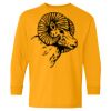 Heavy Cotton Youth Long Sleeve T-Shirt. Thumbnail