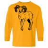 Heavy Cotton Youth Long Sleeve T-Shirt. Thumbnail