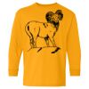 Heavy Cotton Youth Long Sleeve T-Shirt. Thumbnail