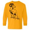 Heavy Cotton Youth Long Sleeve T-Shirt. Thumbnail