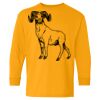 Heavy Cotton Youth Long Sleeve T-Shirt. Thumbnail