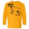 Heavy Cotton Youth Long Sleeve T-Shirt. Thumbnail