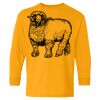 Heavy Cotton Youth Long Sleeve T-Shirt. Thumbnail