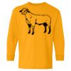Heavy Cotton Youth Long Sleeve T-Shirt. Thumbnail