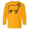 Heavy Cotton Youth Long Sleeve T-Shirt. Thumbnail
