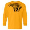 Heavy Cotton Youth Long Sleeve T-Shirt. Thumbnail