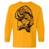 Heavy Cotton Youth Long Sleeve T-Shirt. Thumbnail