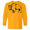 Heavy Cotton Youth Long Sleeve T-Shirt. Thumbnail