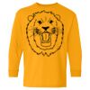 Heavy Cotton Youth Long Sleeve T-Shirt. Thumbnail