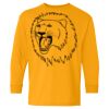 Heavy Cotton Youth Long Sleeve T-Shirt. Thumbnail