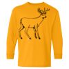 Heavy Cotton Youth Long Sleeve T-Shirt. Thumbnail